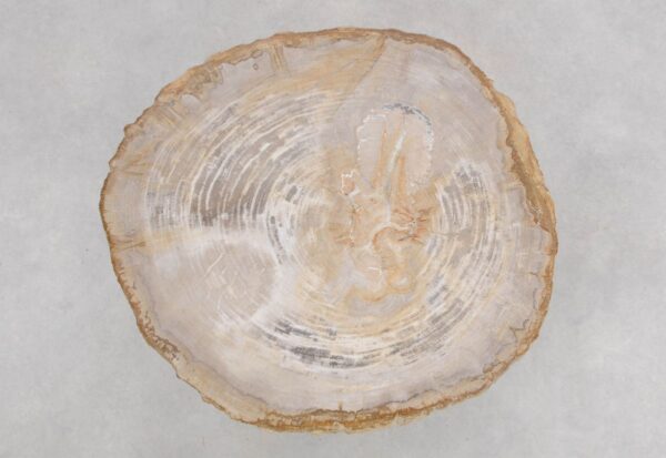 Mesa de centro madera petrificada 48164