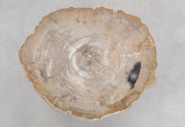 Mesa de centro madera petrificada 48170