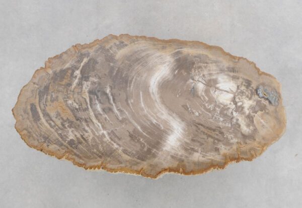Mesa de centro madera petrificada 48203