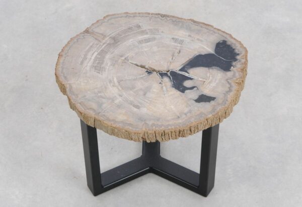 Mesa de centro madera petrificada 48248