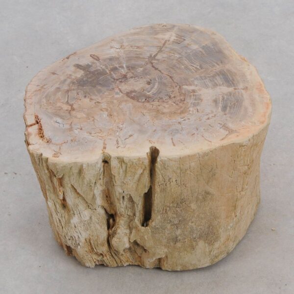 Mesilla madera petrificada 48179