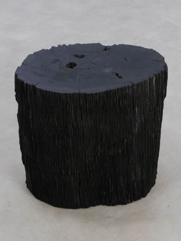 Mesilla madera petrificada 48357