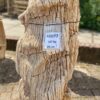 Pierre tombale bois pétrifié 48077