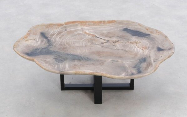 Plate petrified wood 47051