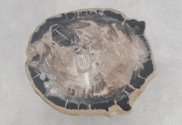 Salontafel versteend hout 48130