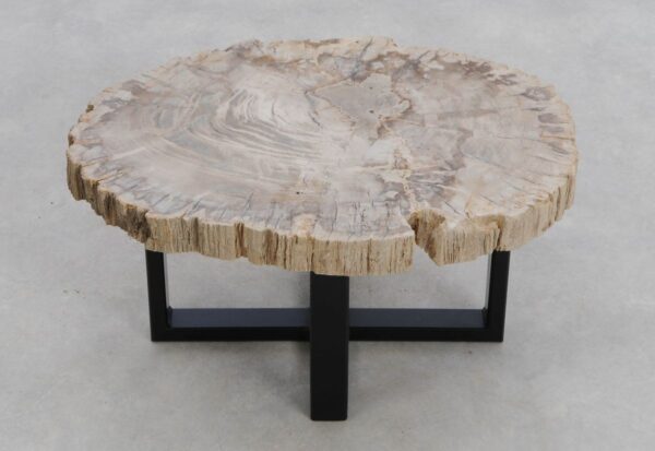 Salontafel versteend hout 48176