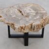 Salontafel versteend hout 48178