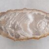 Salontafel versteend hout 48201