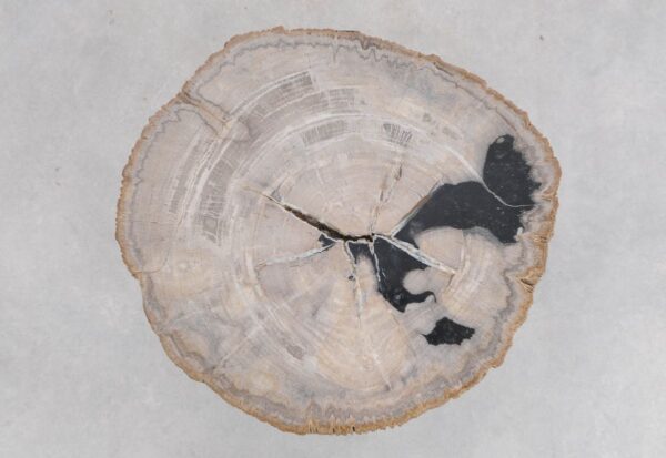 Salontafel versteend hout 48248