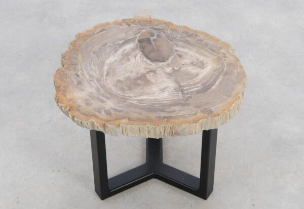 Salontafel versteend hout 48264