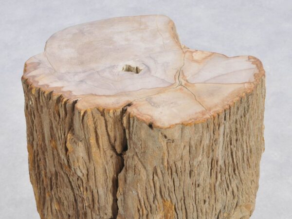 Side table petrified wood 43153