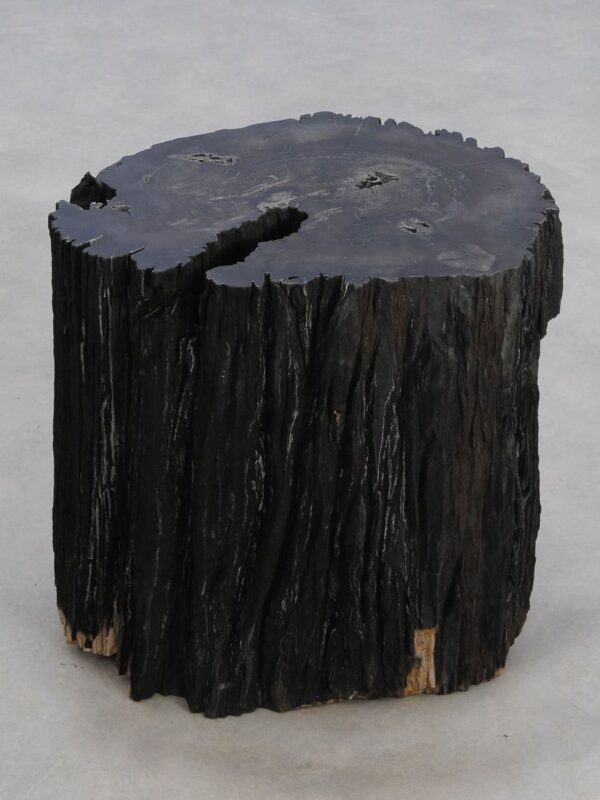 Side table petrified wood 47024