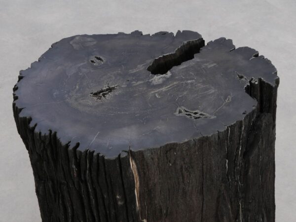 Side table petrified wood 47024