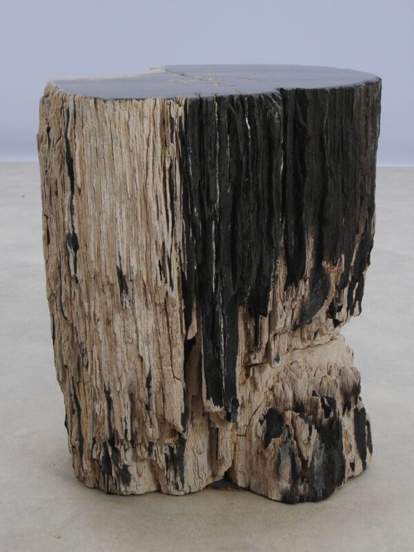 Side table petrified wood 47025