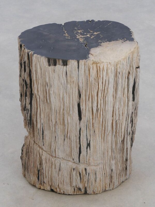 Side table petrified wood 47025