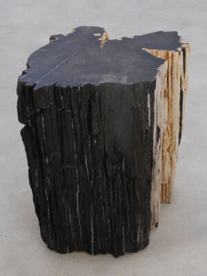 Side table petrified wood 47026