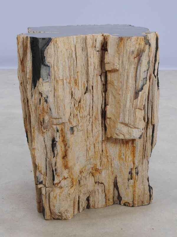 Side table petrified wood 47026