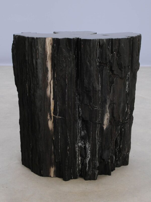 Side table petrified wood 47031