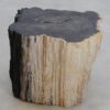 Side table petrified wood 47161