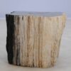 Side table petrified wood 47161