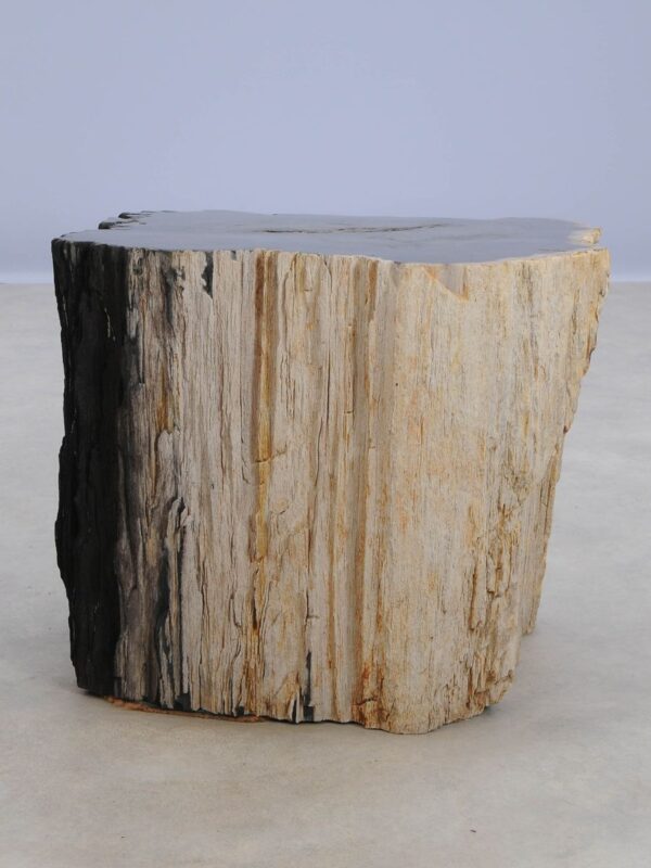 Side table petrified wood 47161