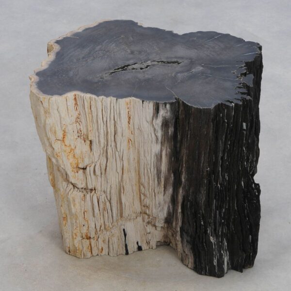 Side table petrified wood 47161