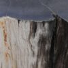 Side table petrified wood 47161