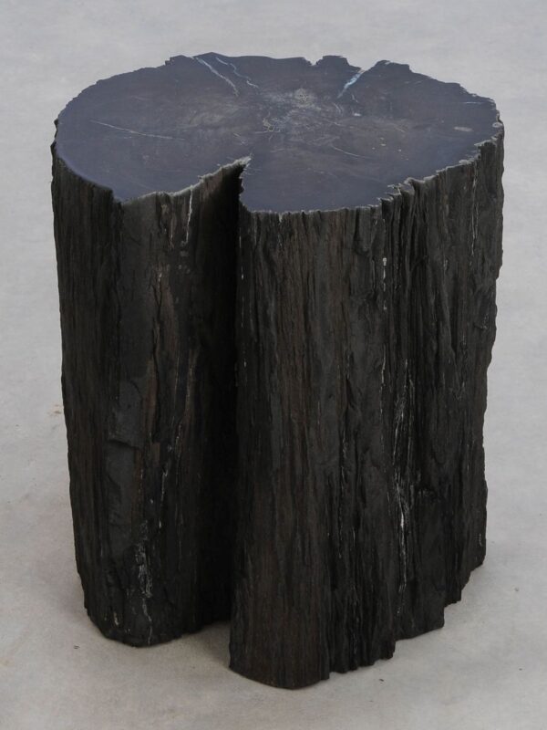 Side table petrified wood 47177