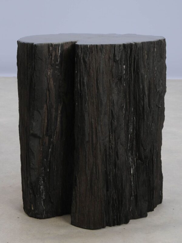 Side table petrified wood 47177