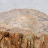Side table petrified wood 48003