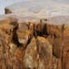 Side table petrified wood 48003