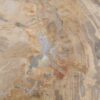 Side table petrified wood 48003