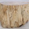 Side table petrified wood 48003