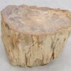 Side table petrified wood 48003