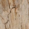 Side table petrified wood 48003