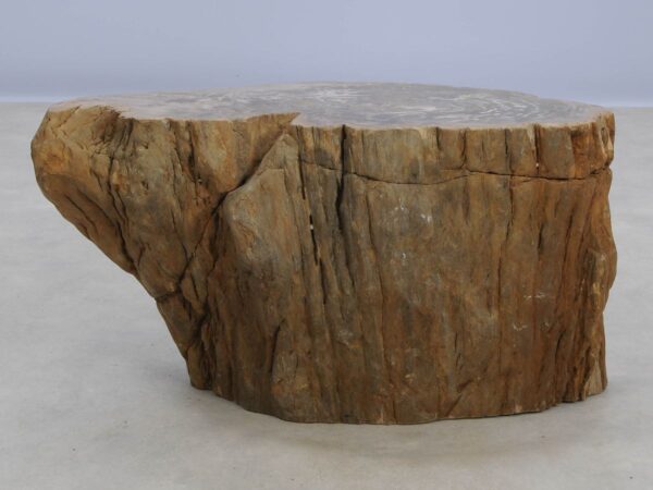 Side table petrified wood 48004