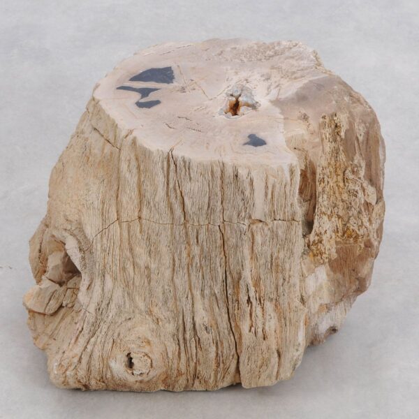 Side table petrified wood 48008