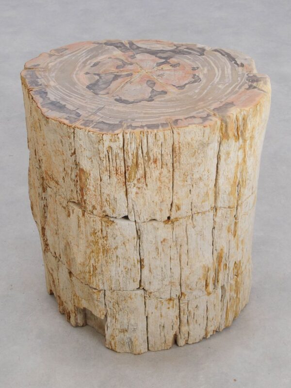 Side table petrified wood 48011