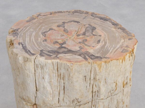 Side table petrified wood 48011