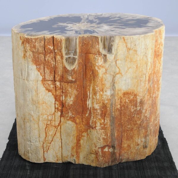 Side table petrified wood 48012