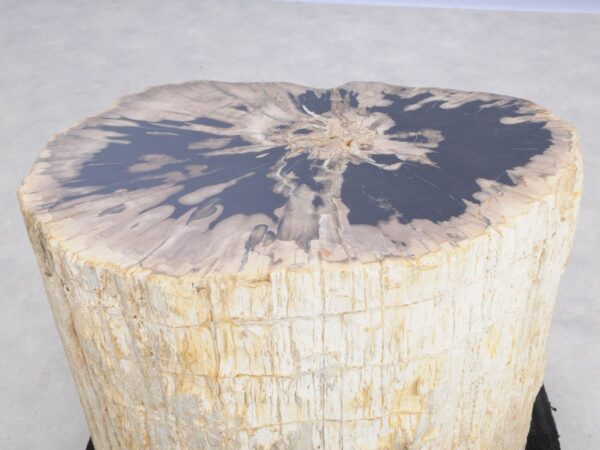 Side table petrified wood 48012