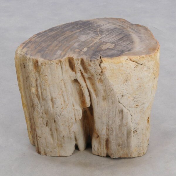 Side table petrified wood 48013