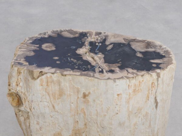 Side table petrified wood 48014