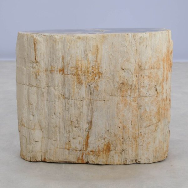 Side table petrified wood 48014