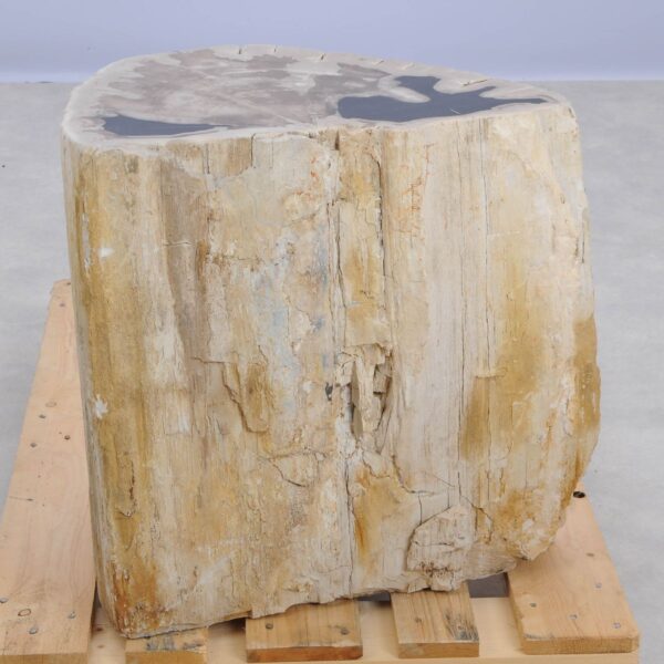 Side table petrified wood 48017