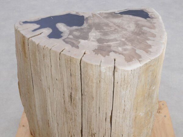 Side table petrified wood 48017