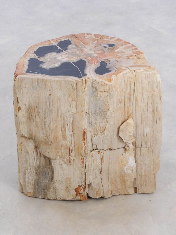Side table petrified wood 48018