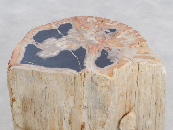 Side table petrified wood 48018