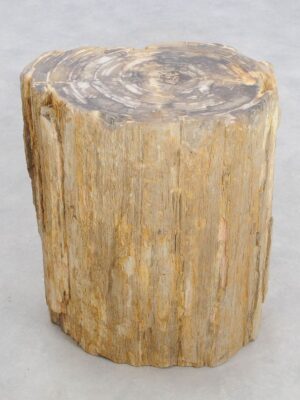 Side table petrified wood 48019