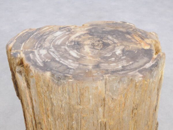 Side table petrified wood 48019